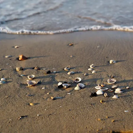 Apartmán Relaxing In *