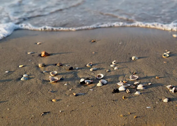 Apartmán Relaxing In *